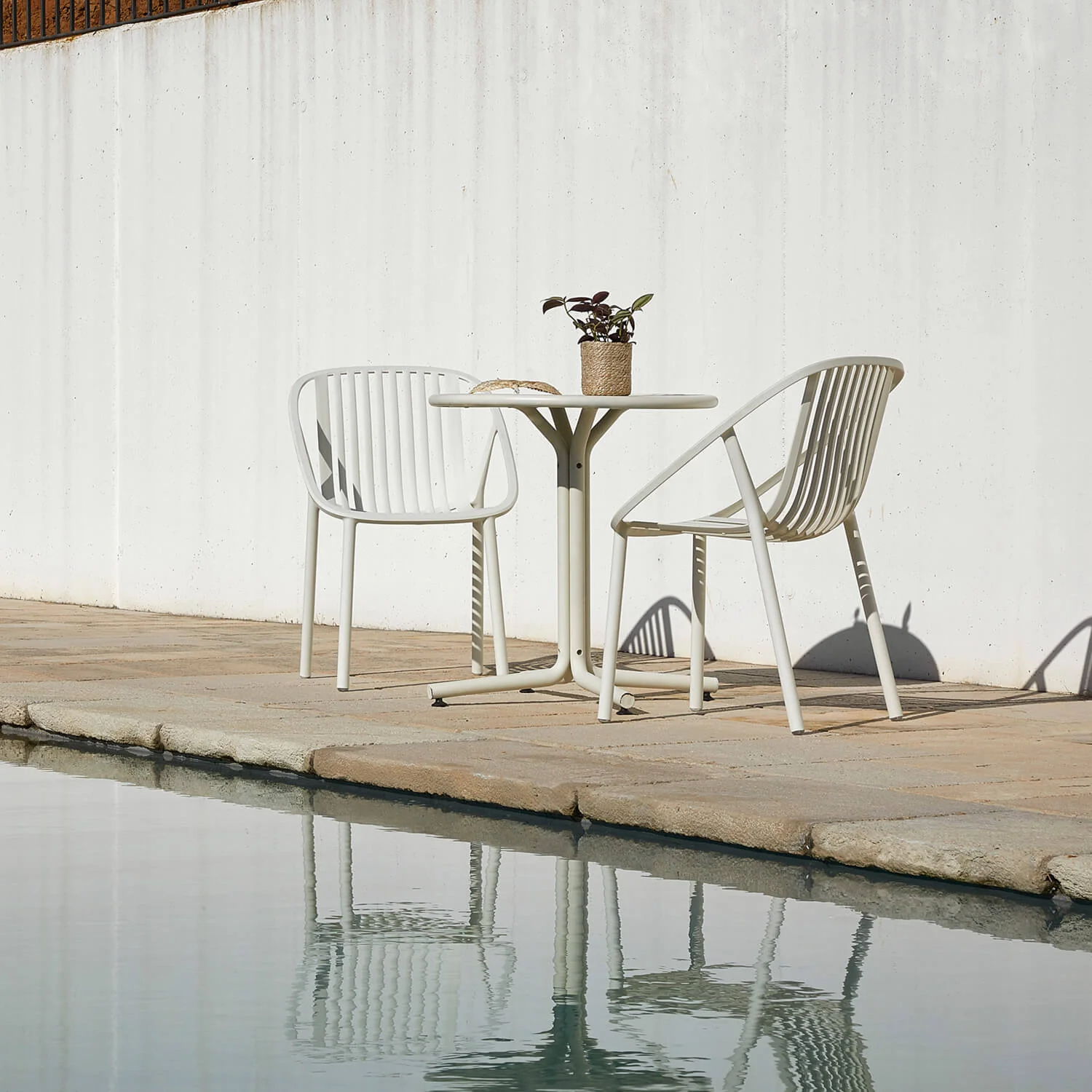 Dining-armchair_Resol-ivory-2.webp